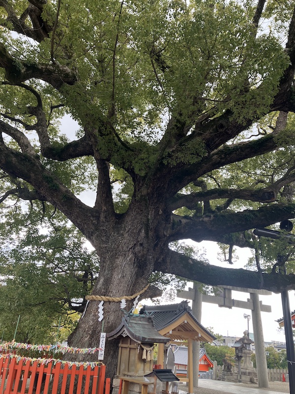 百舌鳥八幡神社